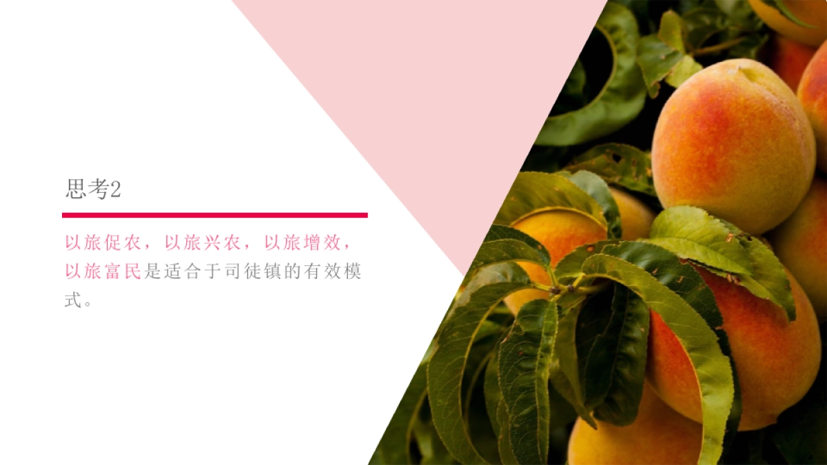 司徒镇采桃节策划推广方案_第9页