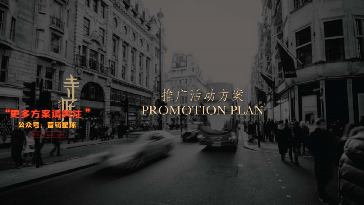 寺库 x TODs 限量版豆豆鞋推广方案_第10页