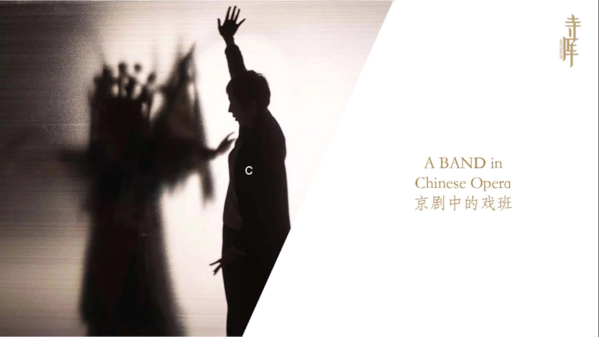 寺库 x TODs 限量版豆豆鞋推广方案_第5页