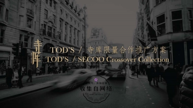 寺库 x TODs 限量版豆豆鞋推广方案