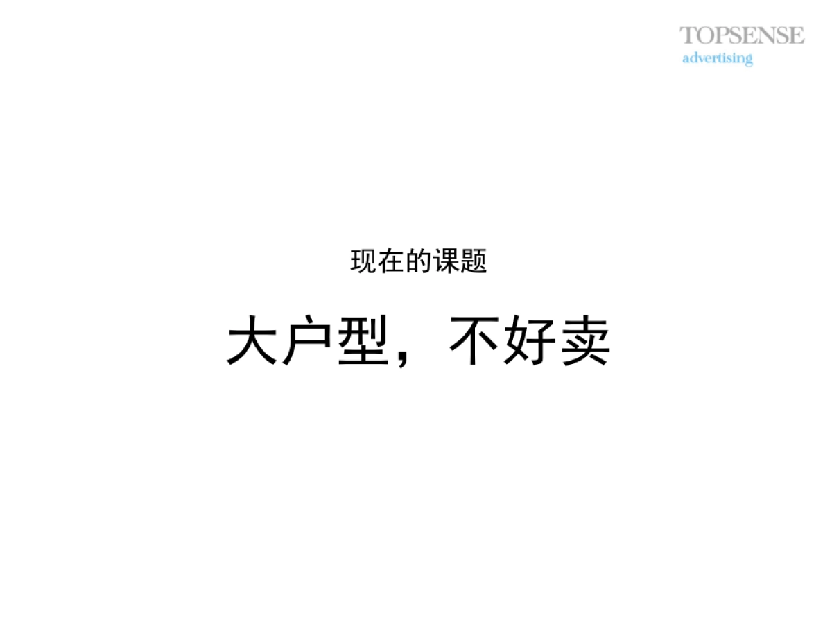 他山石-合群山海豪庭推广规划提报_第4页