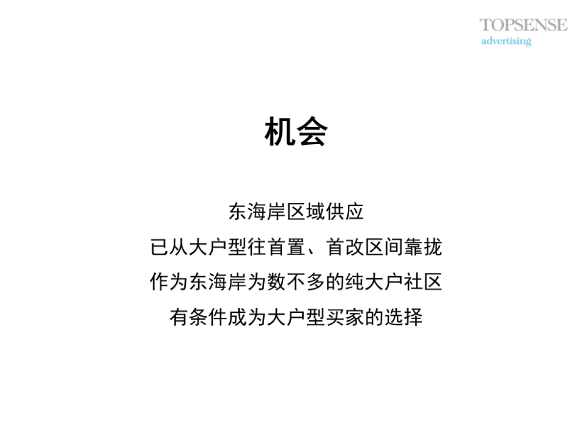 他山石-合群山海豪庭推广规划提报_第9页