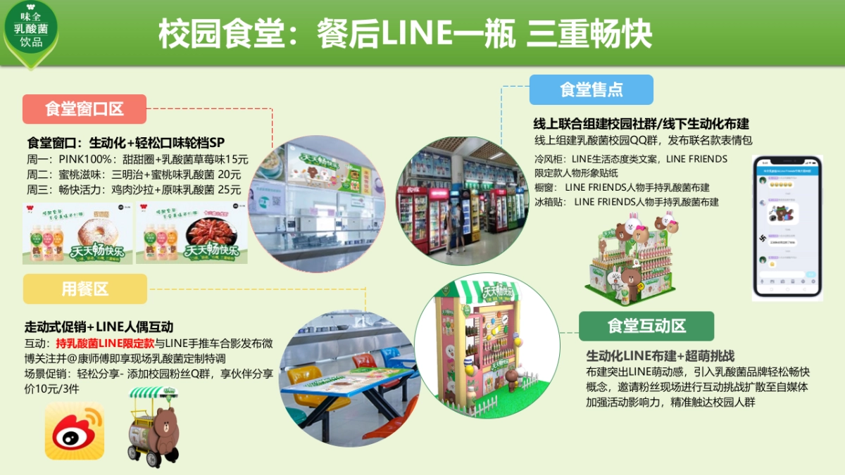 味全乳酸菌推广方案_第5页