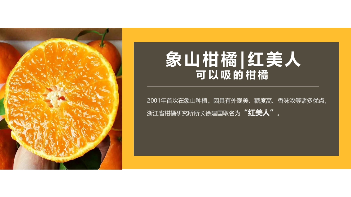 象山柑橘红美人营销推广方案_第3页