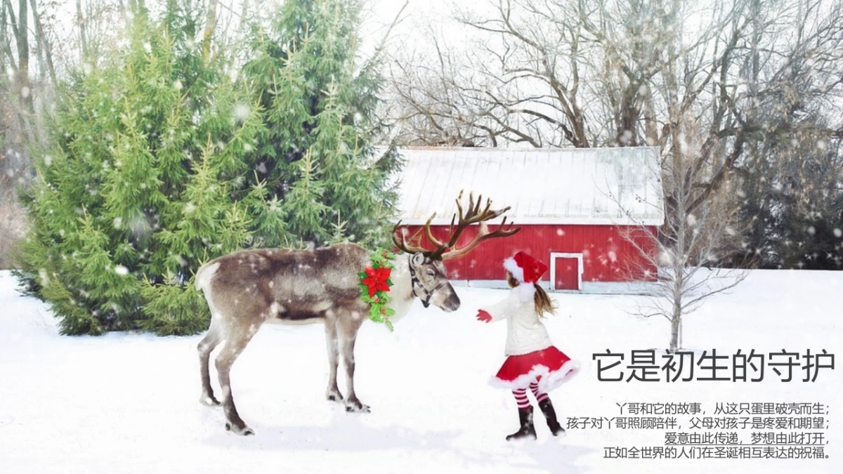 丫哥儿童教育机12-1月推广计划_第6页