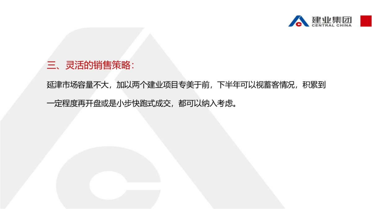 延津建业壹号城邦2019推广方案_第8页