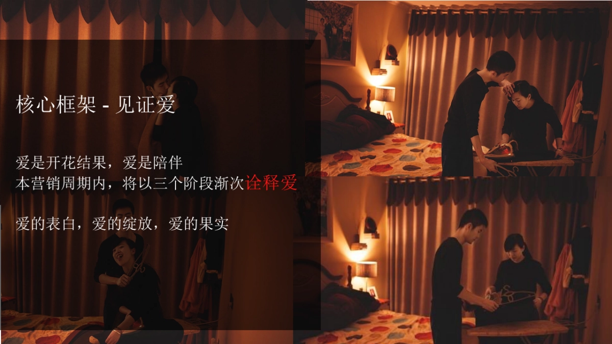 悠蜜爱情酒礼盒营销推广方案的_第9页