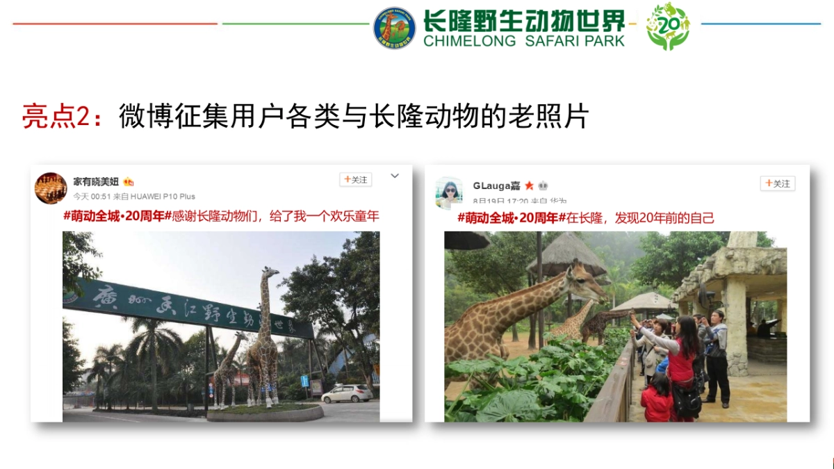 长隆野生动物世界20周年推广方案_第10页