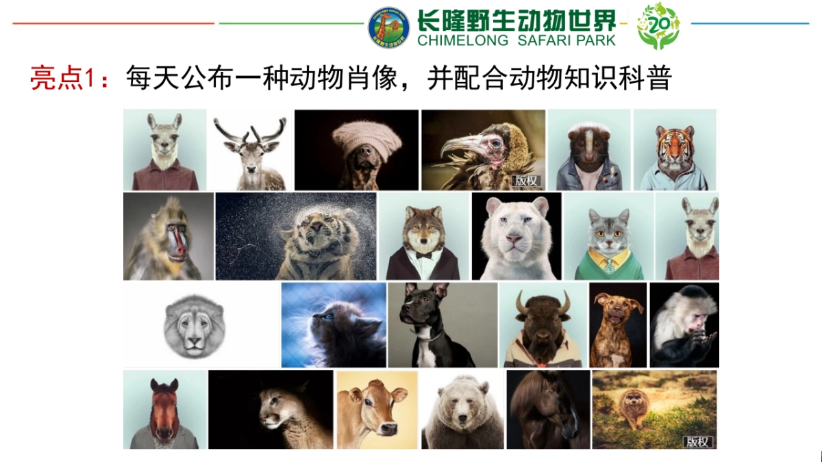 长隆野生动物世界20周年推广方案_第9页