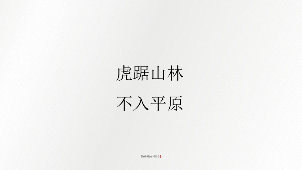 中国博思堂-康桥林溪湾人·墅·生活产品腔调及推广案_第3页