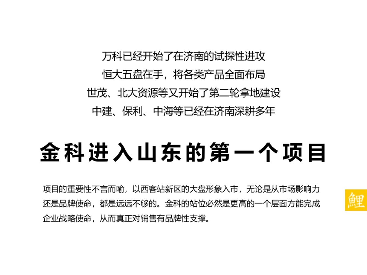 腾鲤传播-金科城项目推广策略方案_第4页