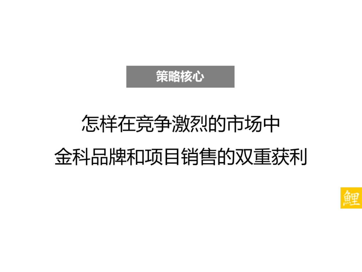 腾鲤传播-金科城项目推广策略方案_第6页