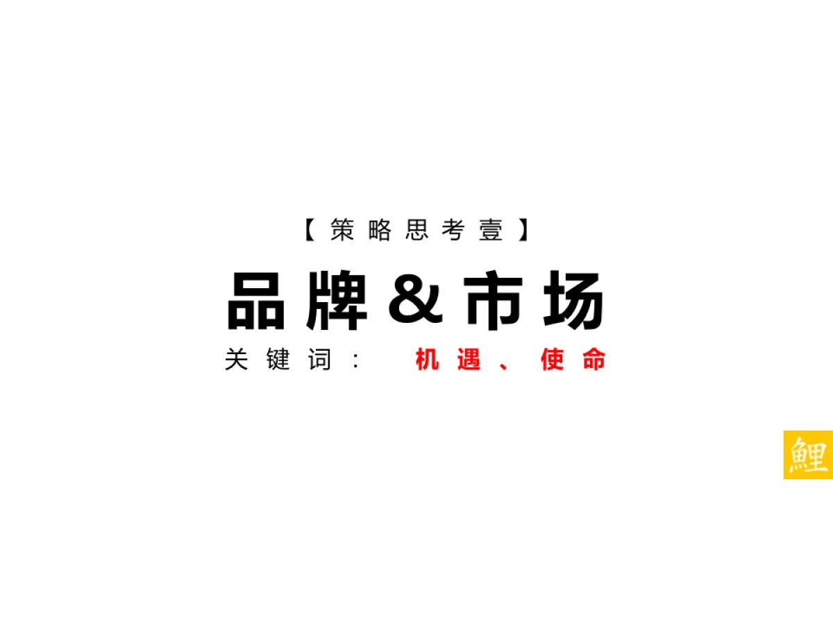 腾鲤传播-金科城项目推广策略方案_第9页