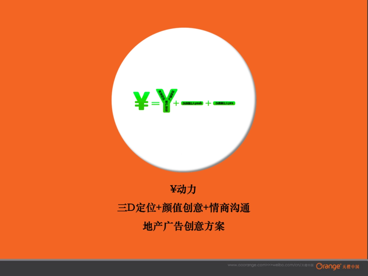 天橙中国-海口明泰西海岸推广_第5页