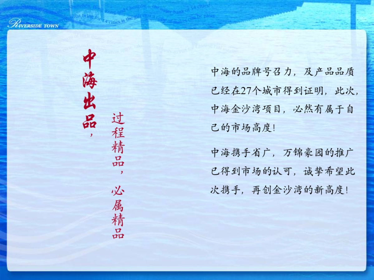 天驰中海金沙洲项目推广案_第2页