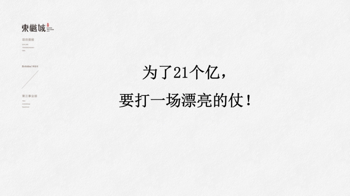 中国博思堂-旭辉东樾城年推广策略提报_第4页