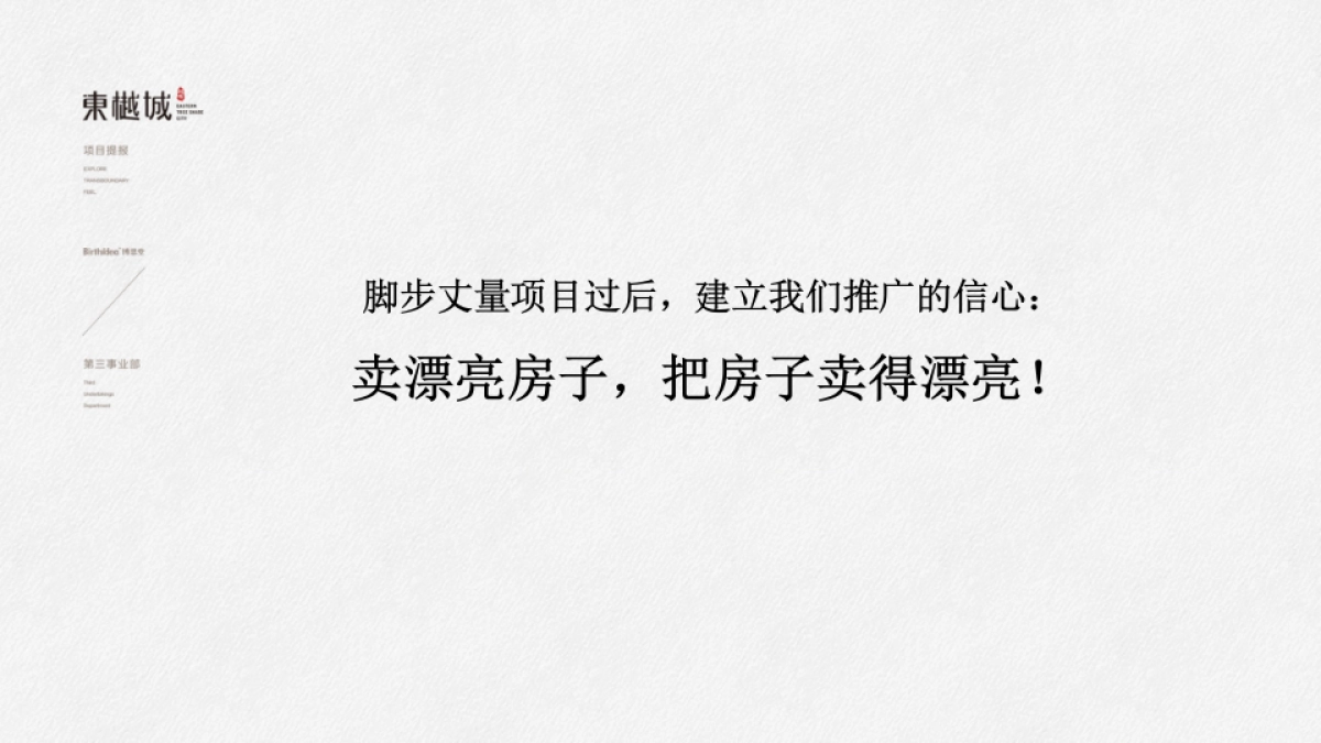 中国博思堂-旭辉东樾城年推广策略提报_第5页