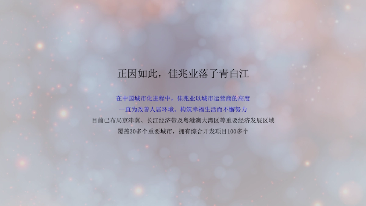 广州A金燕达观-成都佳兆业·悦府推广策略_第6页