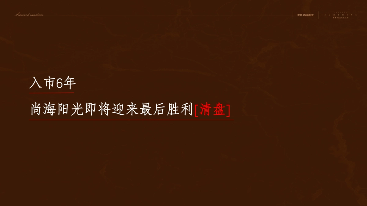 深盟中国-龙光·尚海阳光推广策略提报_第2页