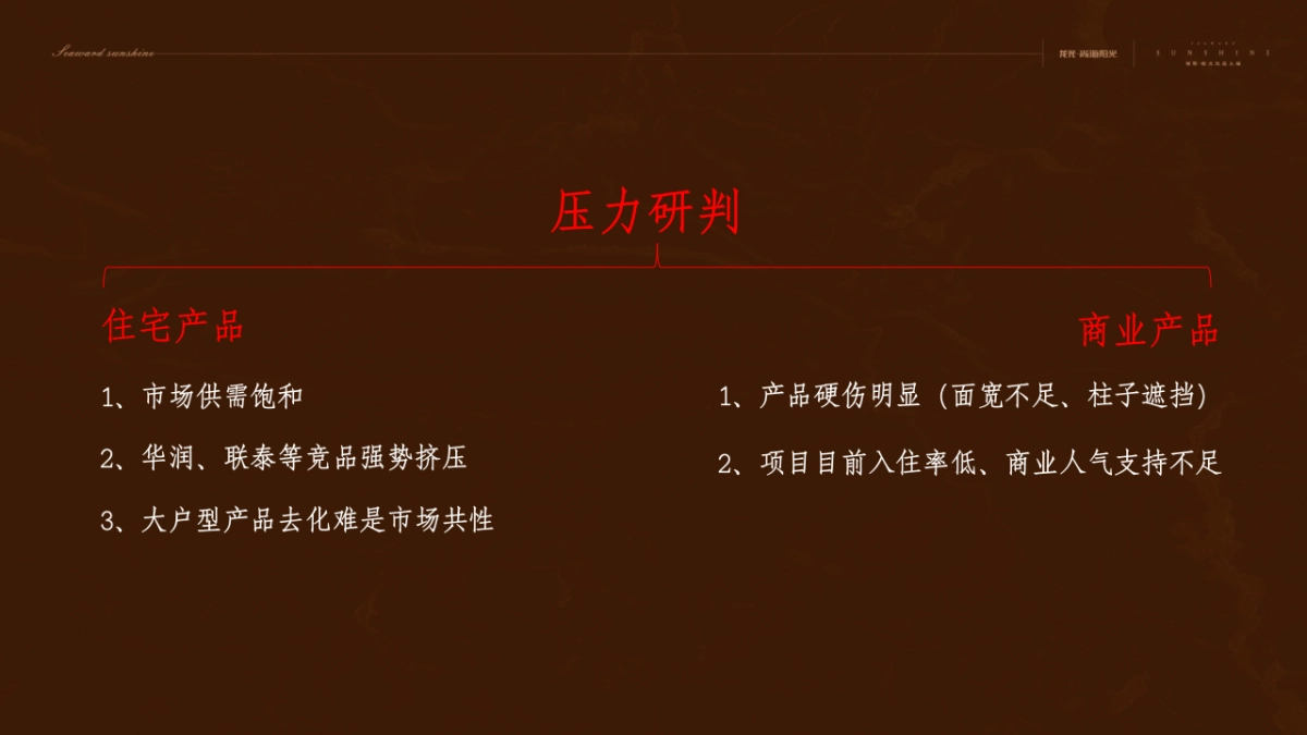 深盟中国-龙光·尚海阳光推广策略提报_第4页