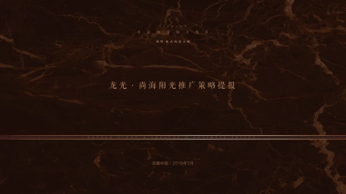 深盟中国-龙光·尚海阳光推广策略提报