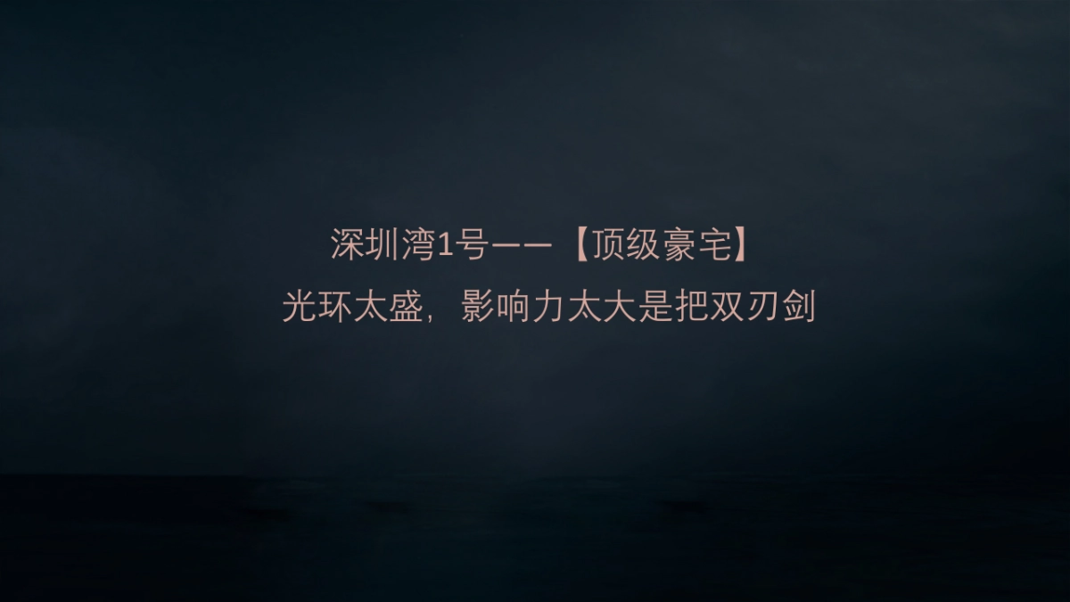 深圳道里-深圳湾号T策略推广方案_第10页