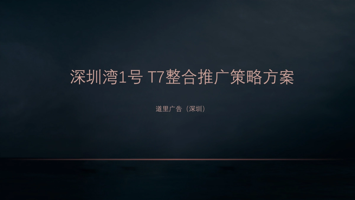 深圳道里-深圳湾号T策略推广方案_第2页