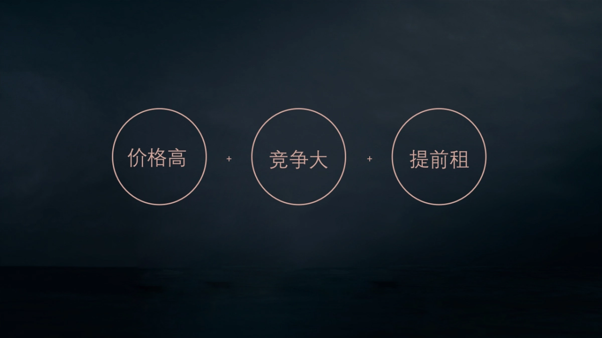 深圳道里-深圳湾号T策略推广方案_第4页