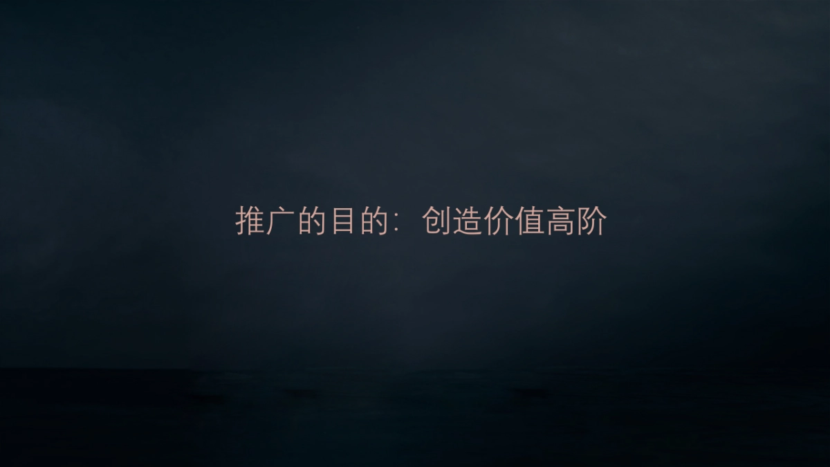 深圳道里-深圳湾号T策略推广方案_第5页