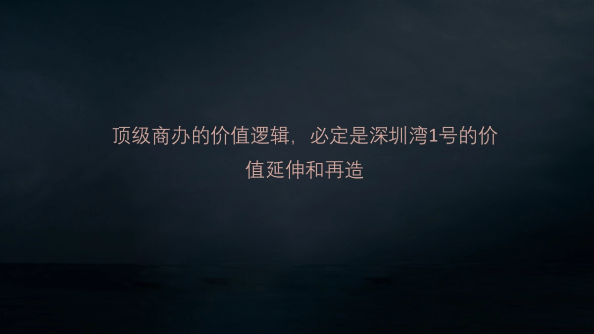 深圳道里-深圳湾号T策略推广方案_第7页