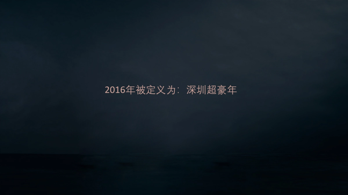 深圳道里-深圳湾号T策略推广方案_第8页