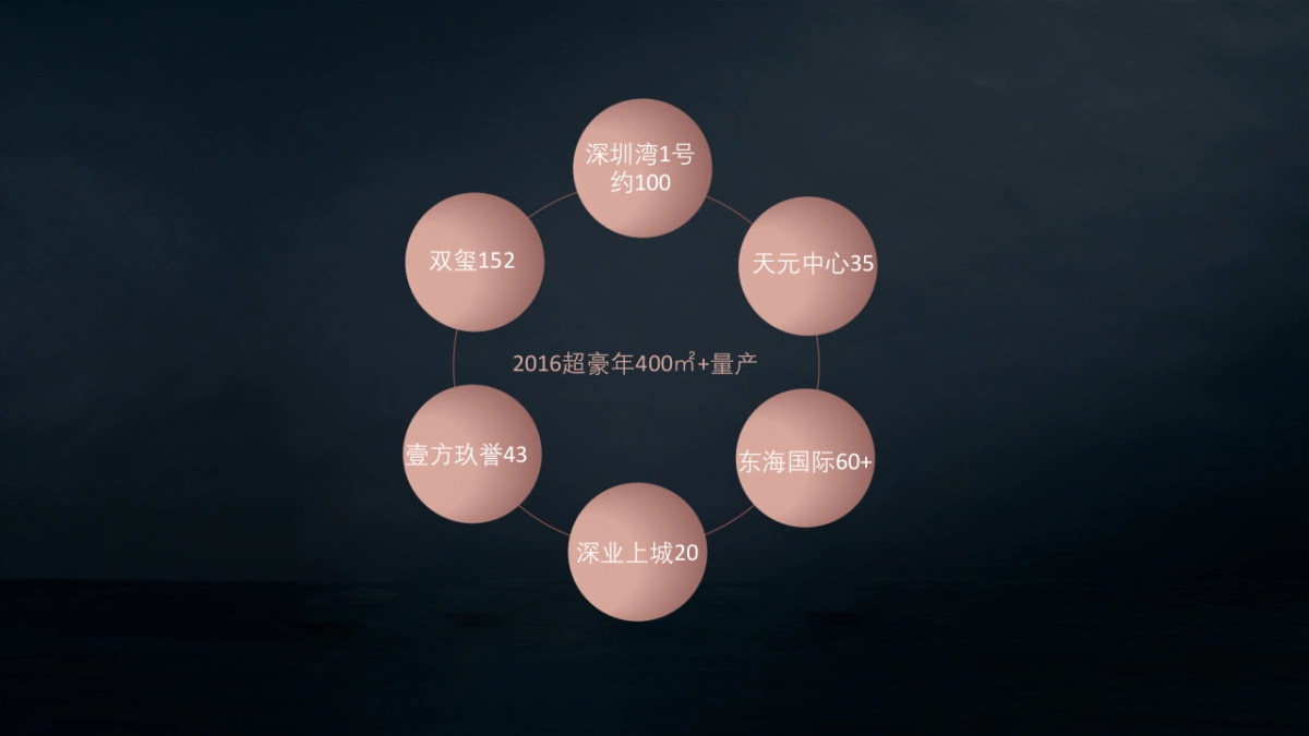 深圳道里-深圳湾号T策略推广方案_第9页