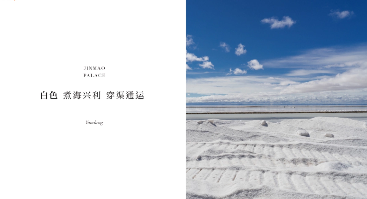 2022海棠金茂府年度传播方案_第9页