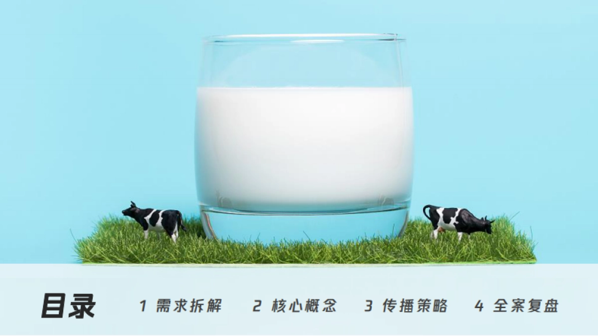 2022年铂金牛奶线上传播策划案_第2页