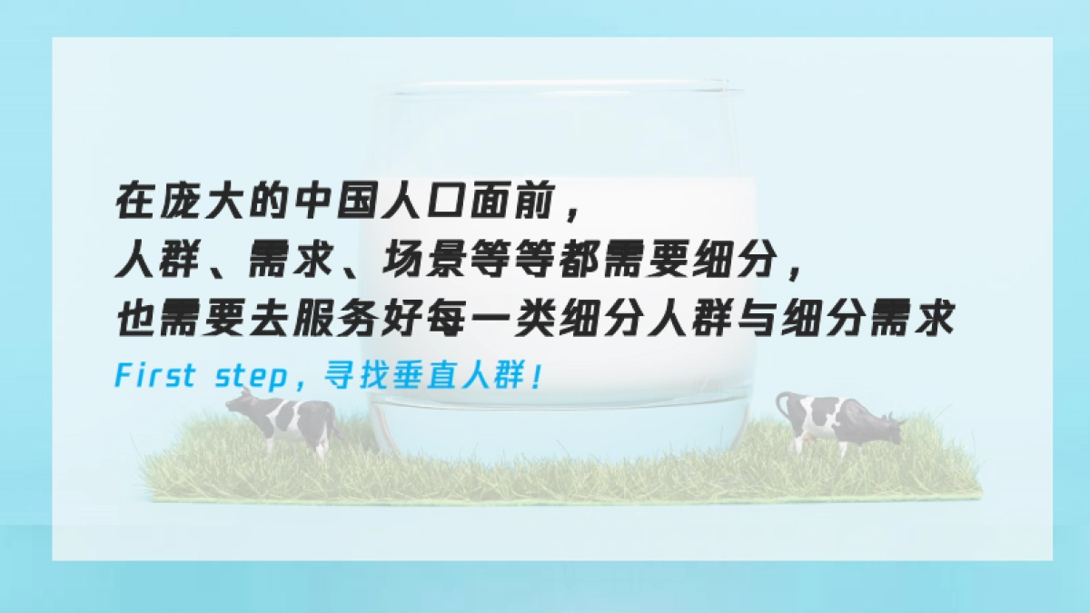 2022年铂金牛奶线上传播策划案_第9页