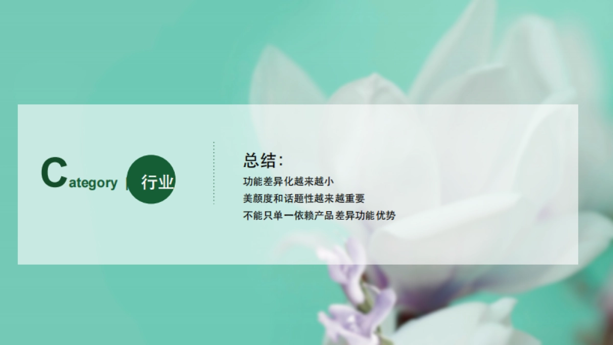 【DDB】一花一木年度传播方案_第10页