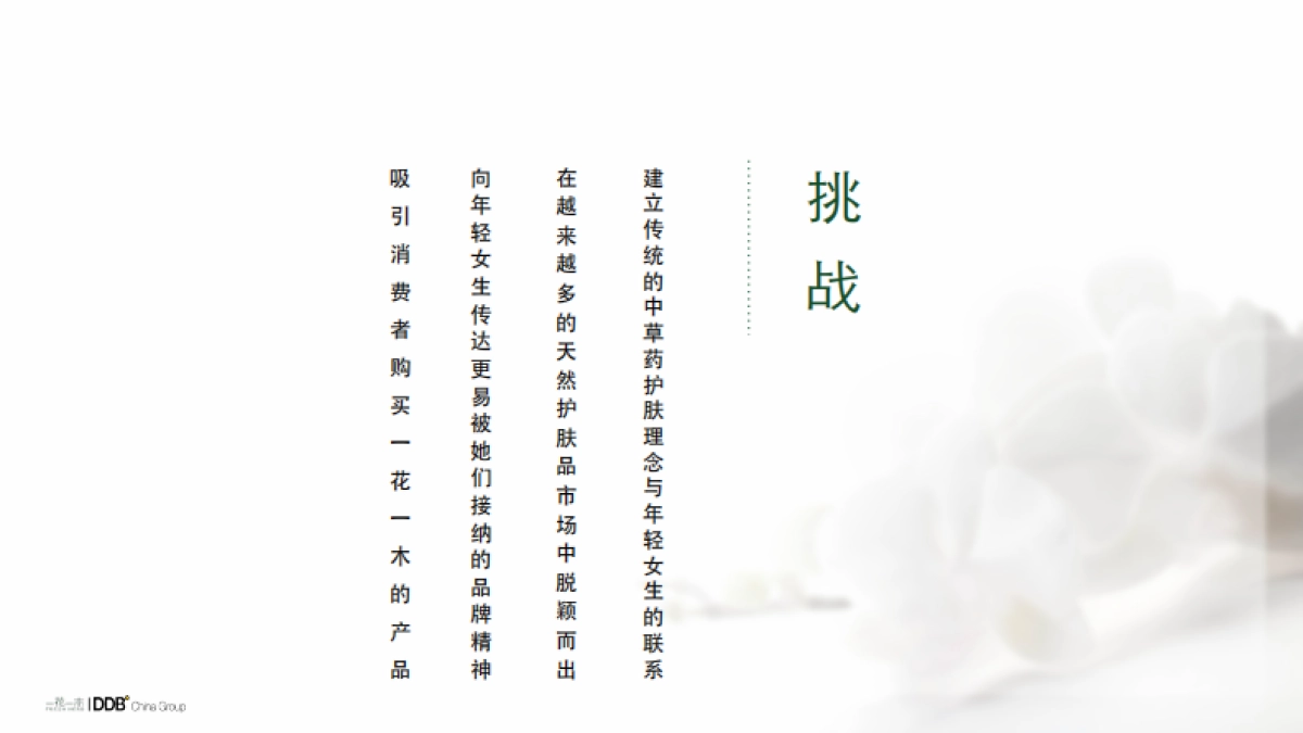 【DDB】一花一木年度传播方案_第3页