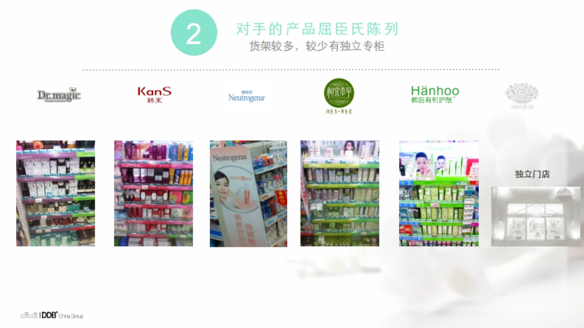 【DDB】一花一木年度传播方案_第8页