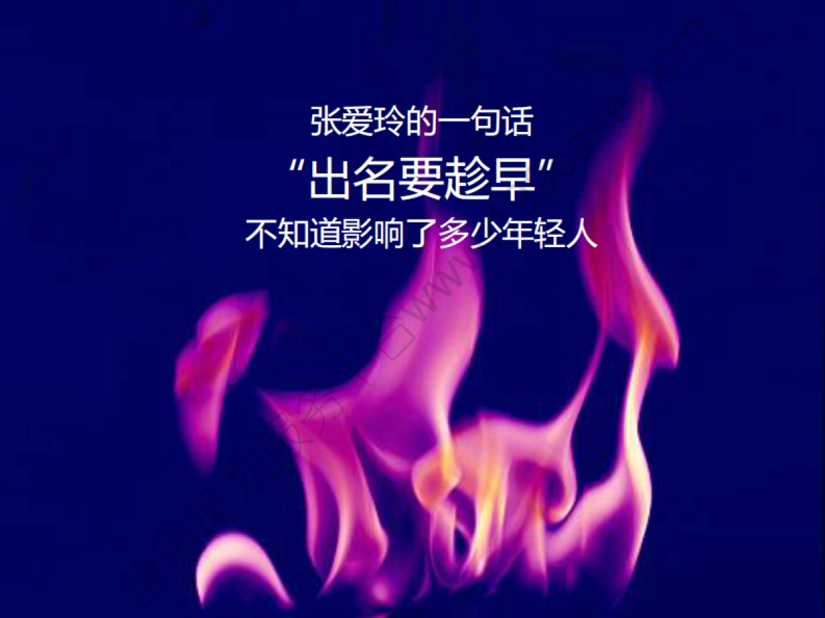 2013金立ELIFE手机互联网传播规划-50P_第4页