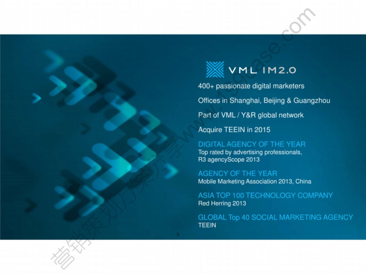 2015TCL年度数字营销传播规划方案IM2.0-98P_第3页