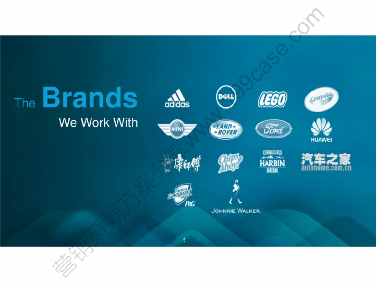 2015TCL年度数字营销传播规划方案IM2.0-98P_第5页