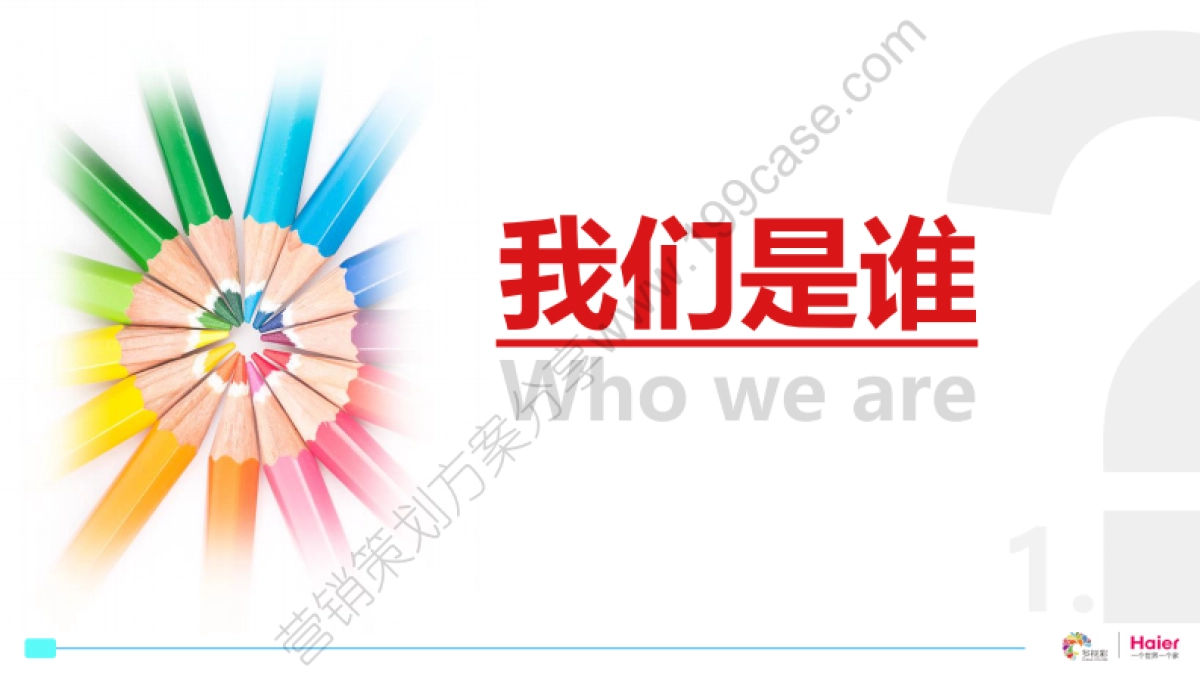 2015年度海尔净水线上传播规划-Chinacolors-185P_第2页