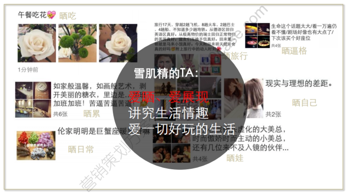 2015雪肌精30周年传播方案_第10页