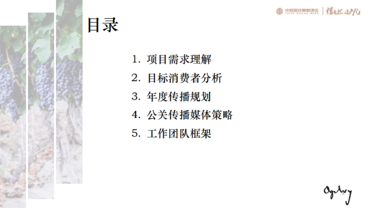 2017中信国安葡萄酒业尼雅传播方案_第2页