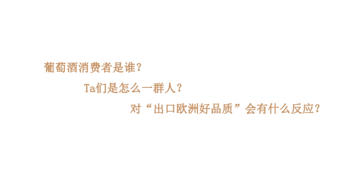 2017中信国安葡萄酒业尼雅传播方案_第5页