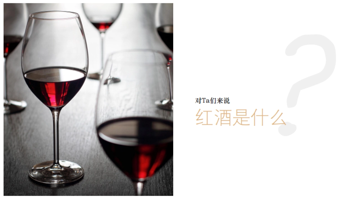 2017中信国安葡萄酒业尼雅传播方案_第8页