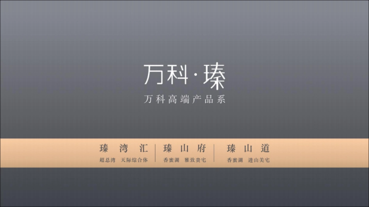 2019马一丁-佳兆业·山海湾项目定位传播方案_第8页