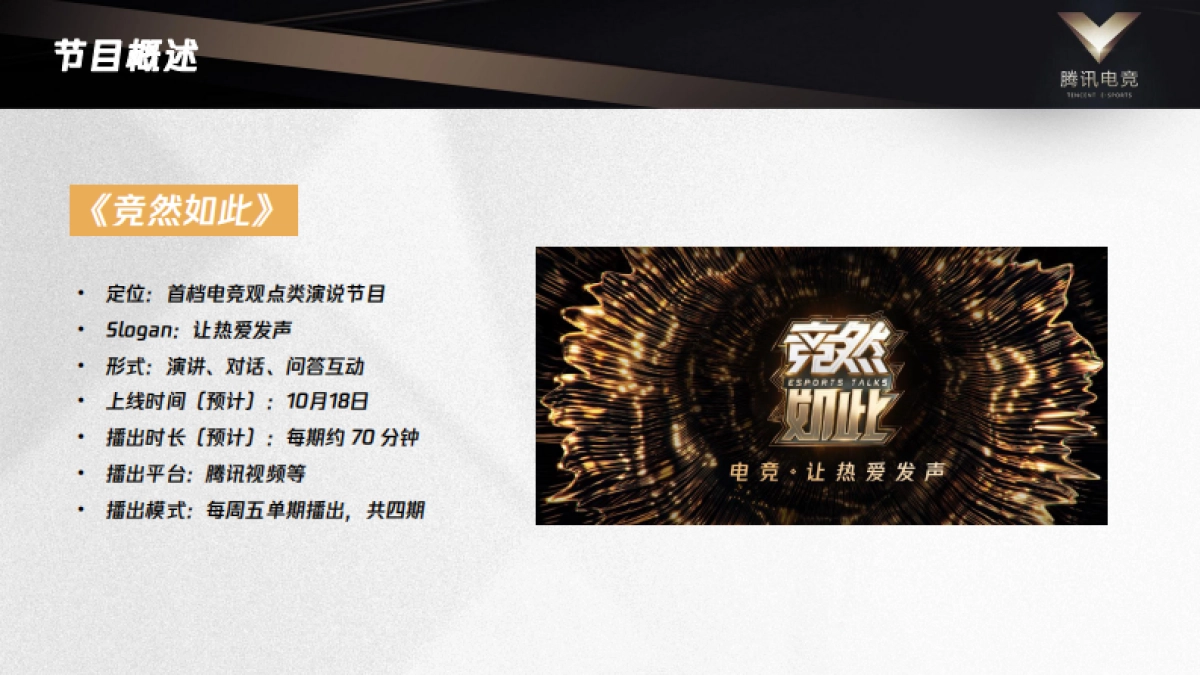 2019腾讯电竞公开课公共传播方案_第10页