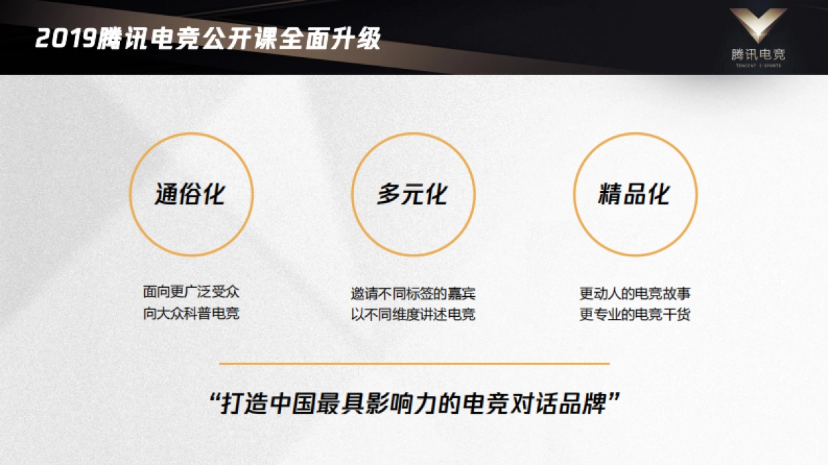 2019腾讯电竞公开课公共传播方案_第8页