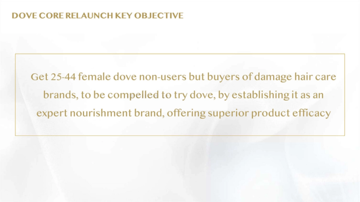 2021多芬品牌传播策略案-76P_第3页